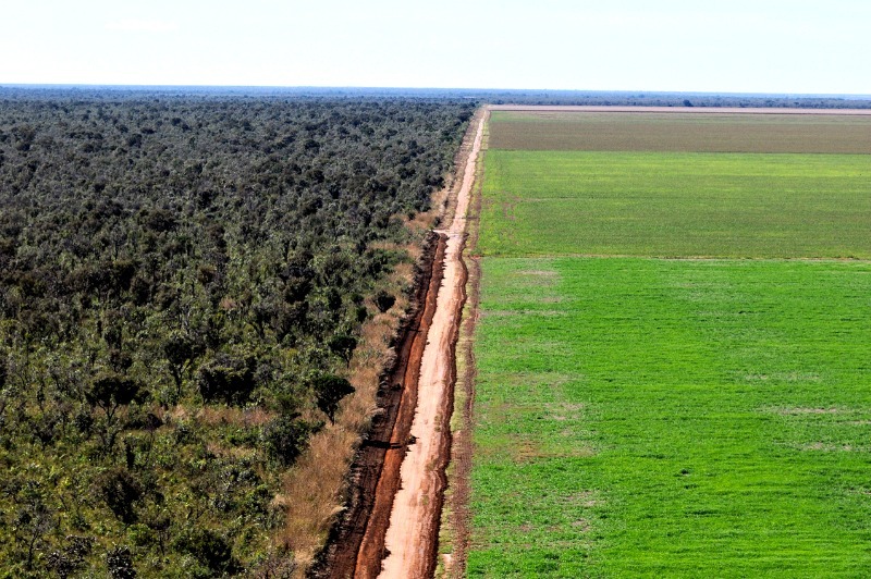 A Amazônia continua encolhendo