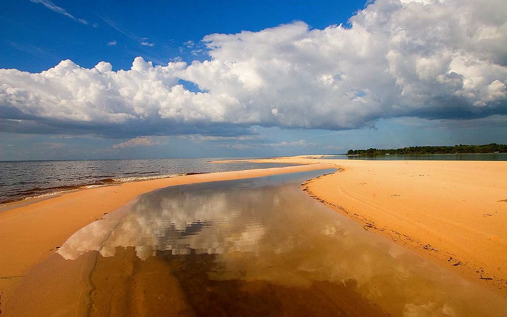 O Rio da Vida segue vivo