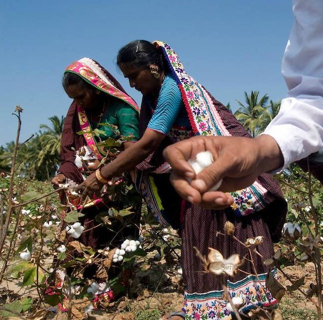 Indianos contra os transgênicos