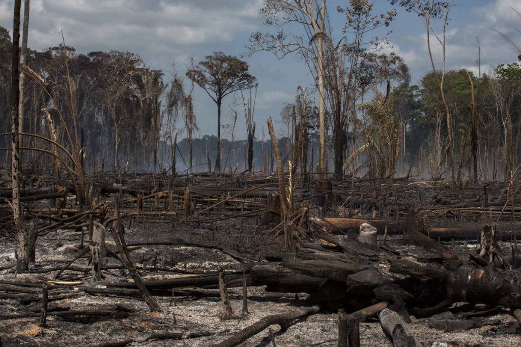 Maggi e o clima na COP22