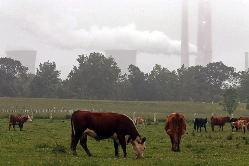 Trump deleta mudanças climáticas