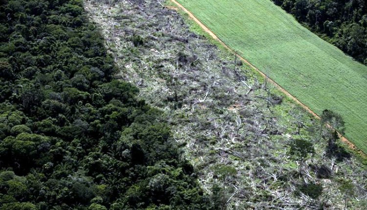 Amazônia sob ataque simultâneo