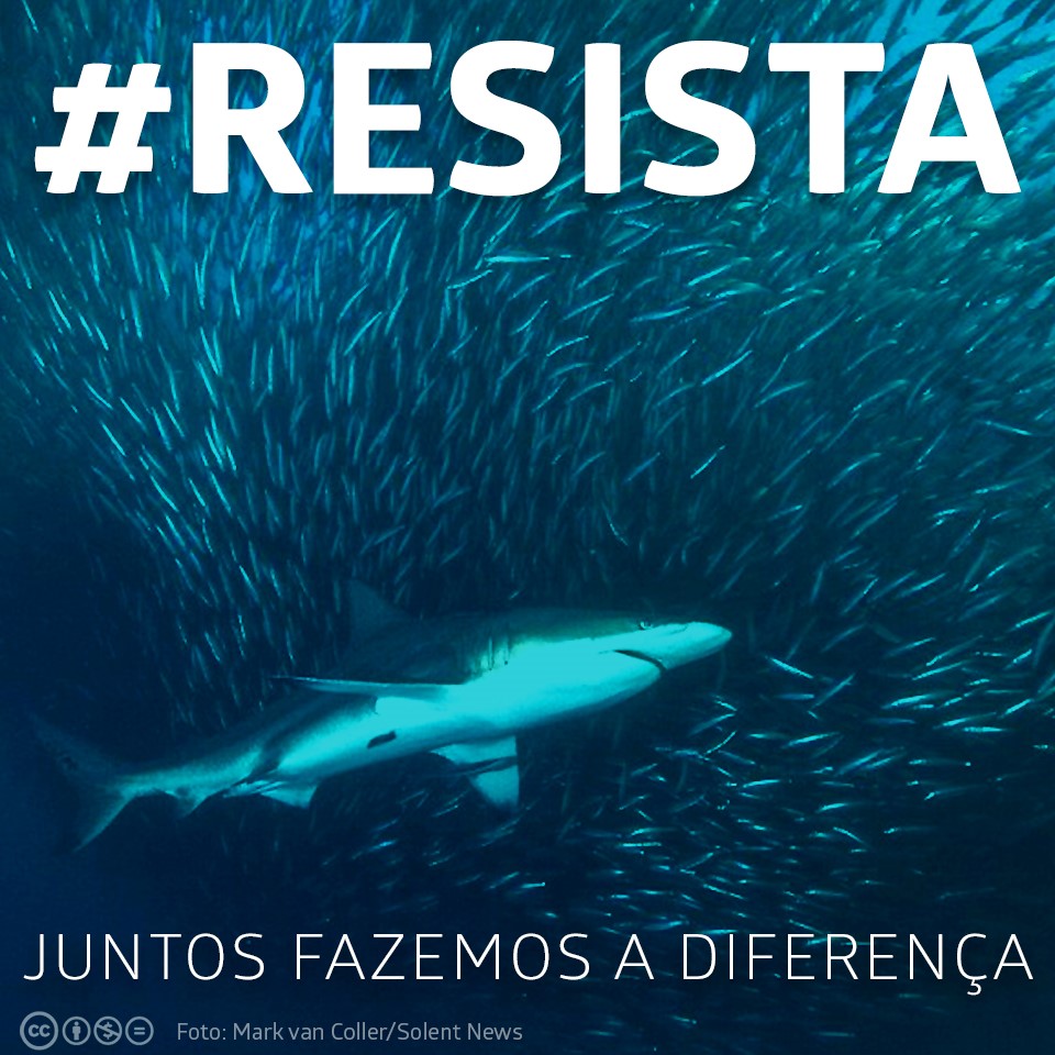 Resistir é preciso!