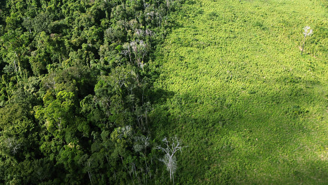 Declaração de Oslo dos participantes da Iniciativa Ecumênica para as Florestas Tropicais