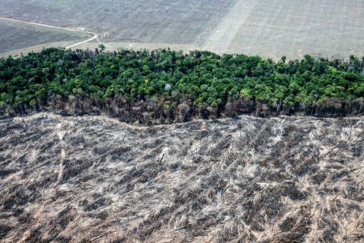 Brasil deve ter nota baixa na COP23