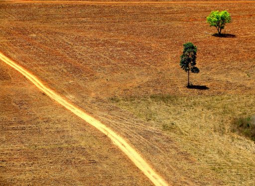 A natureza vai sair ganhando