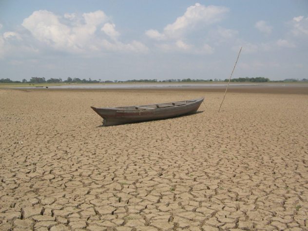 Seca na Amazônia teve a mão do homem