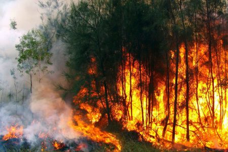 Estão botando fogo no Brasil?