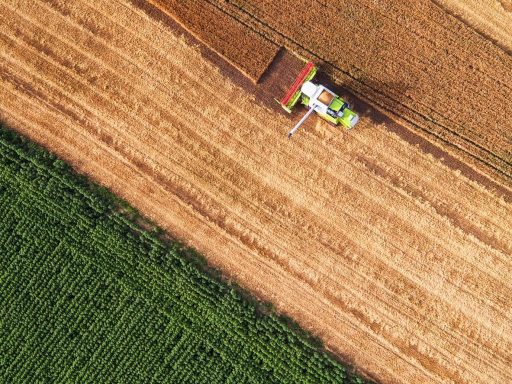 Brasil transforma riquezas em fumaça