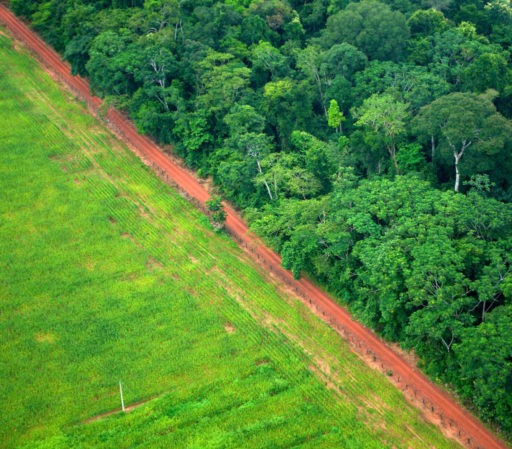 As duas caras do Brasil na COP23