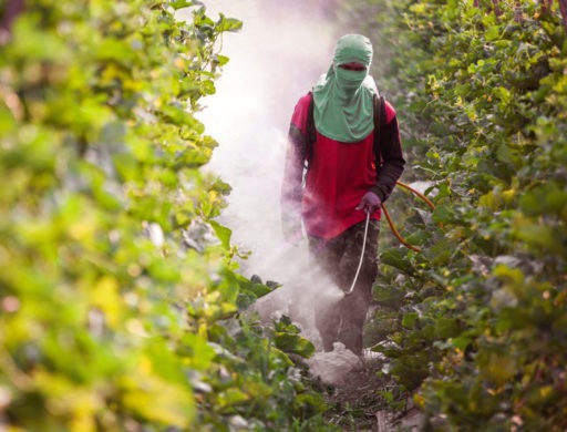 5 mil vezes mais agrotóxicos