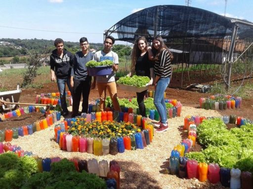 Colhendo consciência ecológica