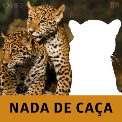 Não à caça!