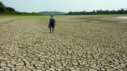 Seca é desastre ambiental