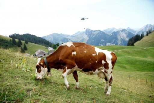 Calor prejudica o agronegócio na Europa