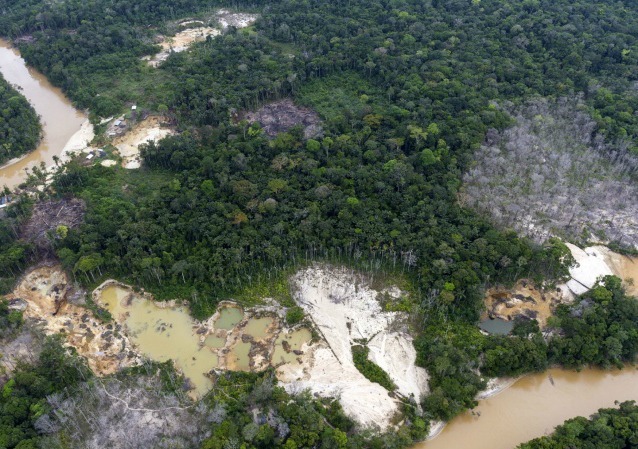 Garimpo ilegal toma a floresta