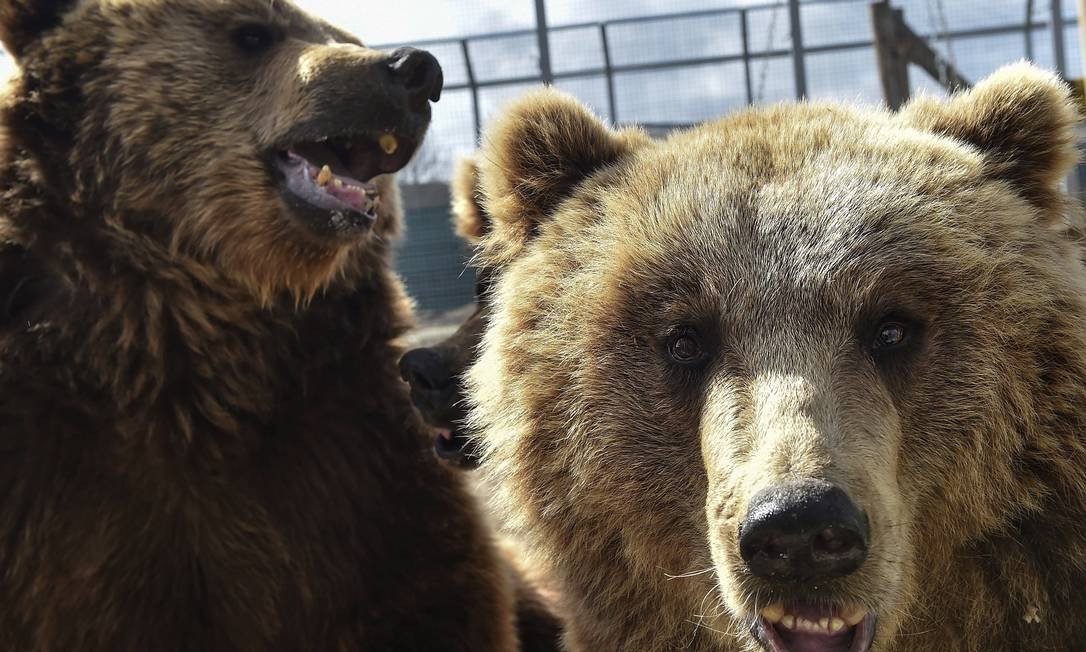 Um zoológico para todos