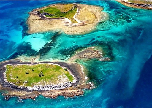 Biodiversidade de Abrolhos sob ameaça