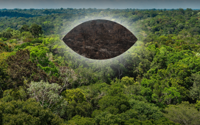 Num piscar de olhos